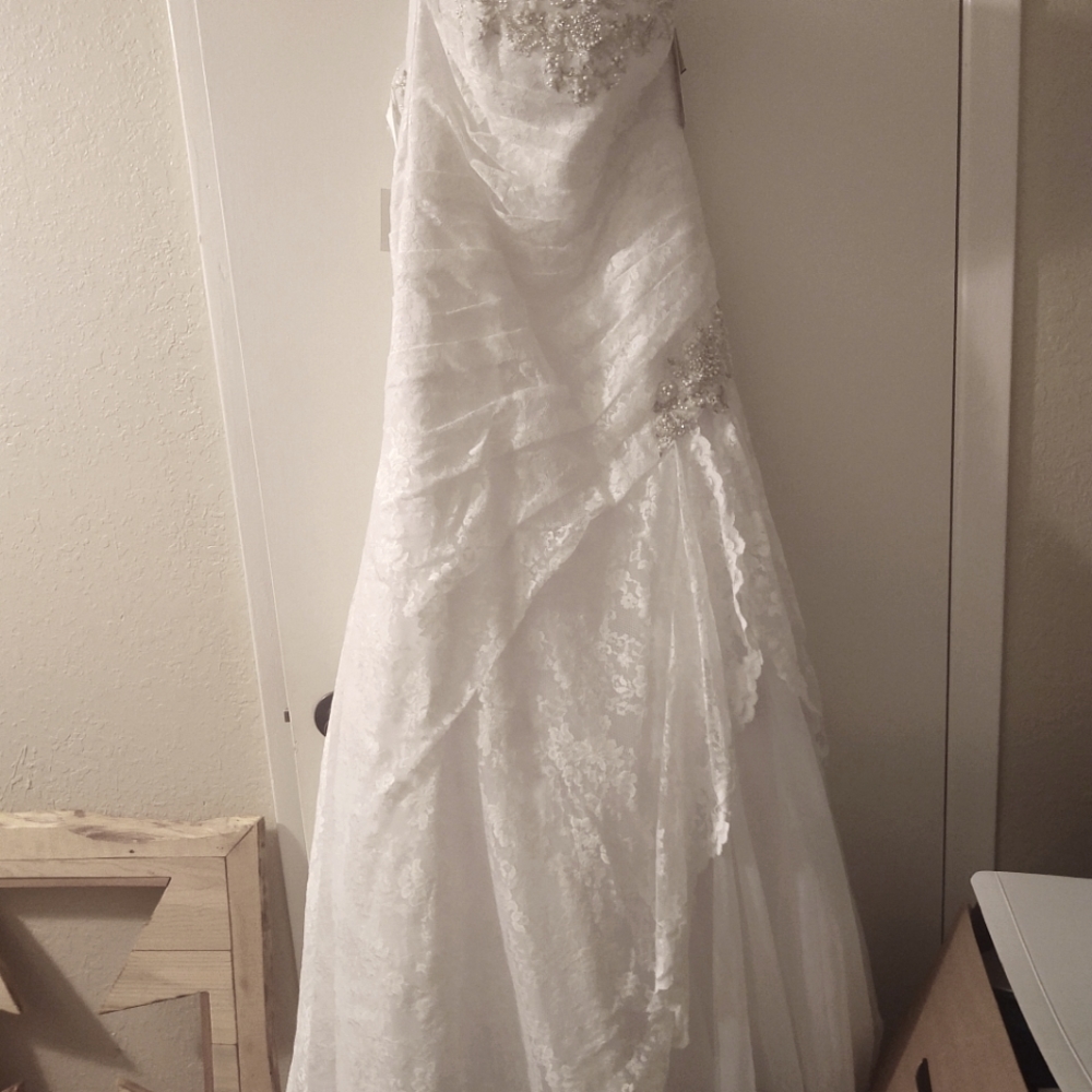 David's Bridal lace fit and flare size 12 corset